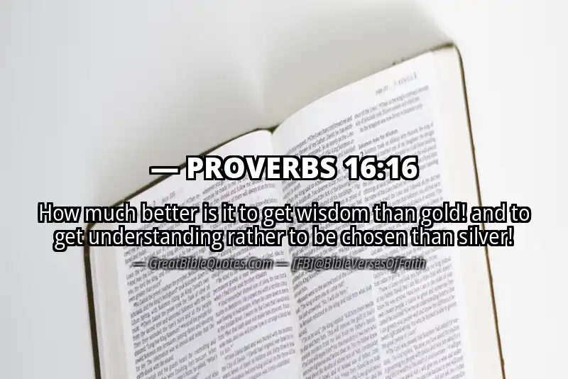 Image for PROVERBS 16:16 Bible verse