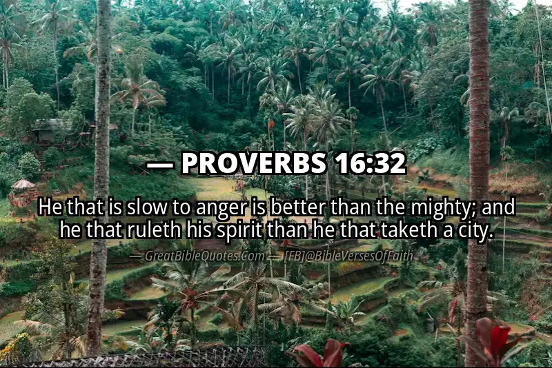 Image for PROVERBS 16:32 Bible verse