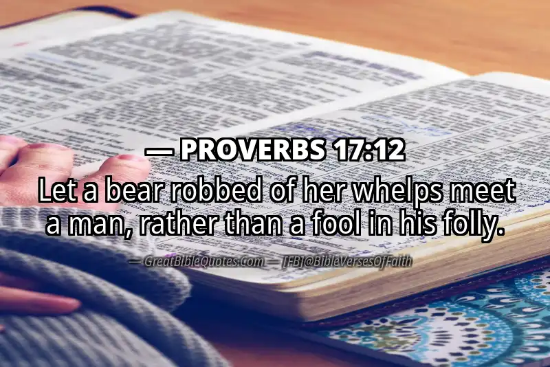 PROVERBS 17:12 Verse