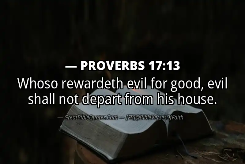 PROVERBS 17:13 Verse