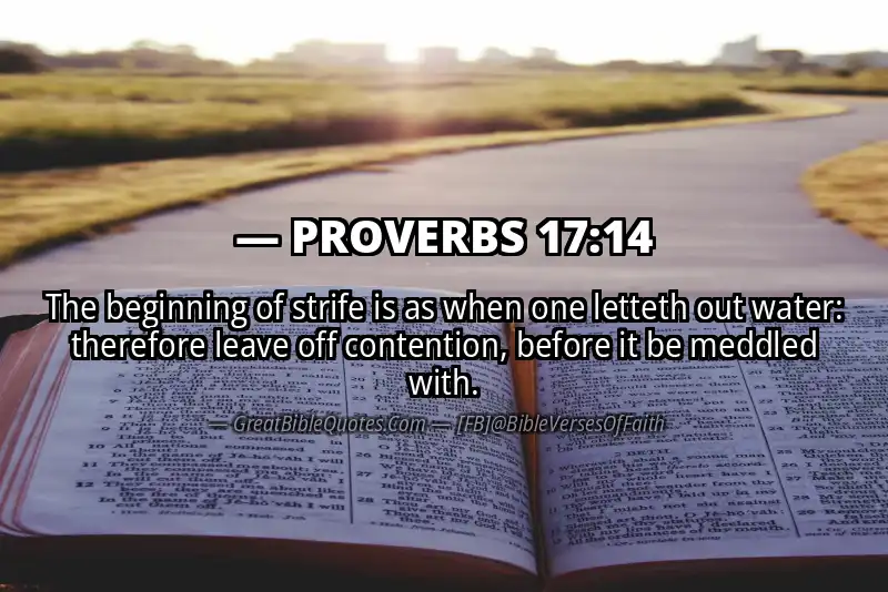 PROVERBS 17:14 Verse