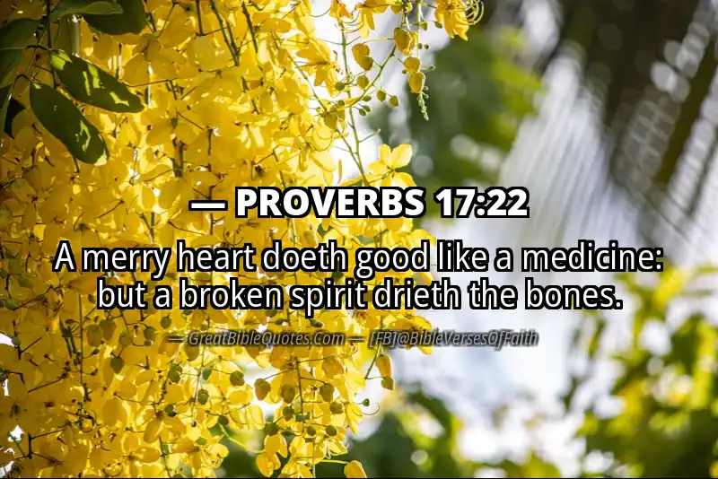 PROVERBS 17:22 Verse