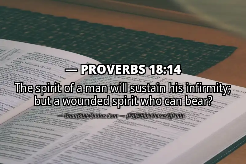 PROVERBS 18:14 Verse