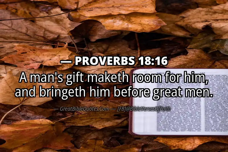 PROVERBS 18:16 Verse