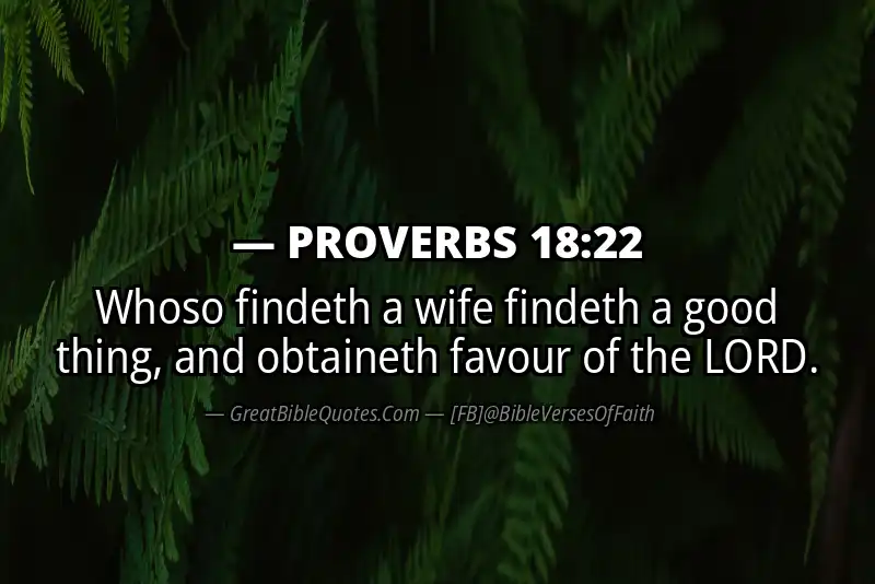 Image for PROVERBS 18:22 Bible verse