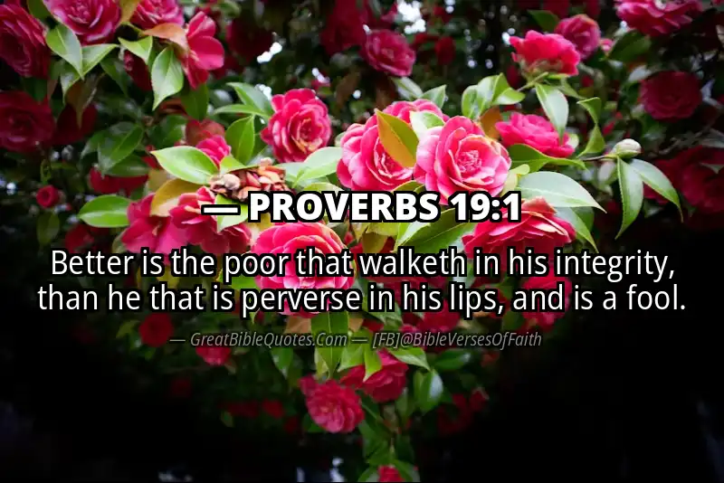 PROVERBS 19:1 Verse