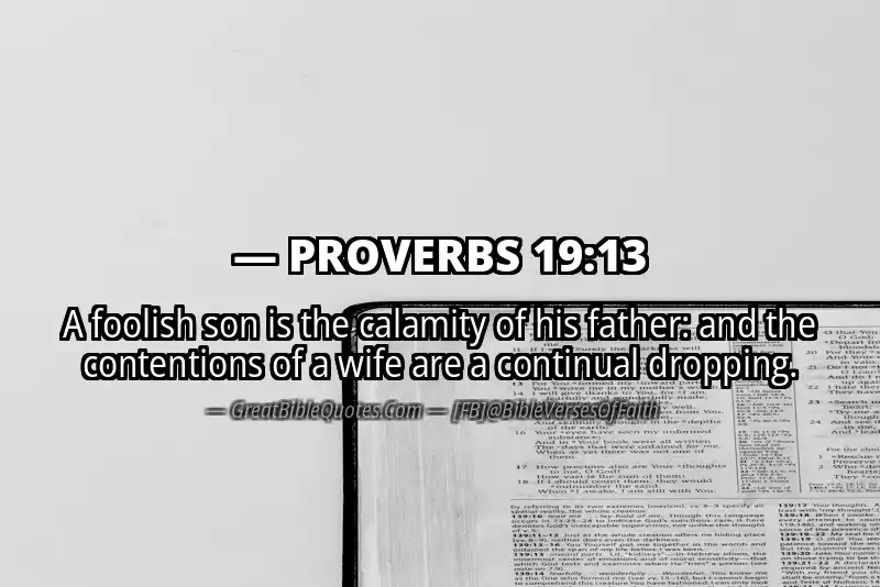 PROVERBS 19:13 Verse