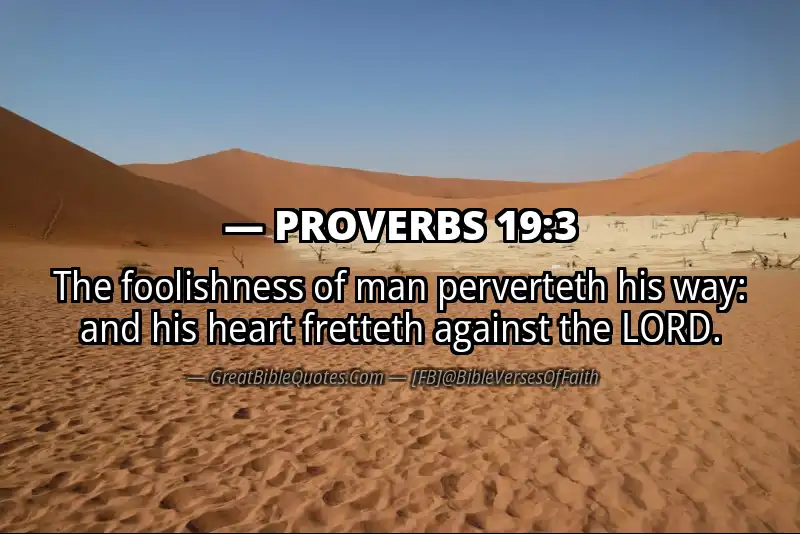 PROVERBS 19:3 Verse