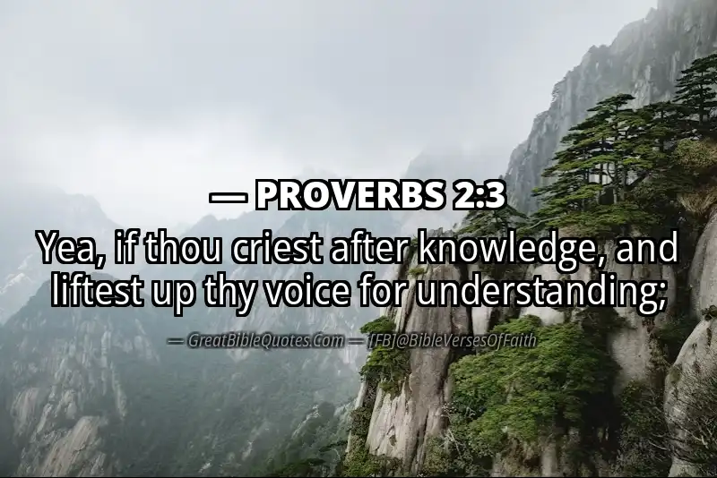 PROVERBS 2:3 Verse