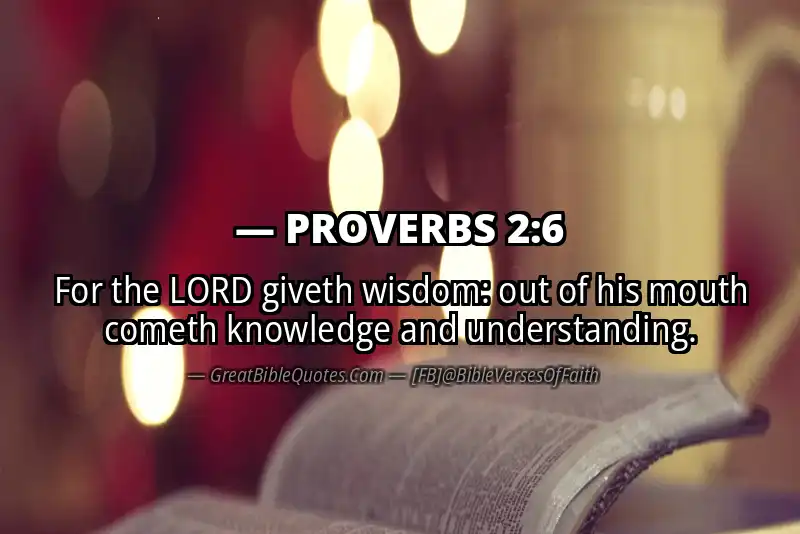 Image for PROVERBS 2:6 Bible verse