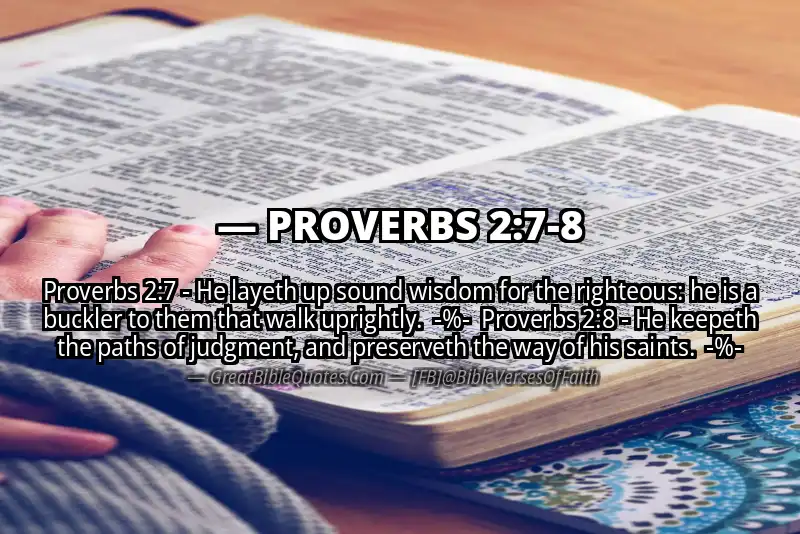 Image for PROVERBS 2:7-8 Bible verse