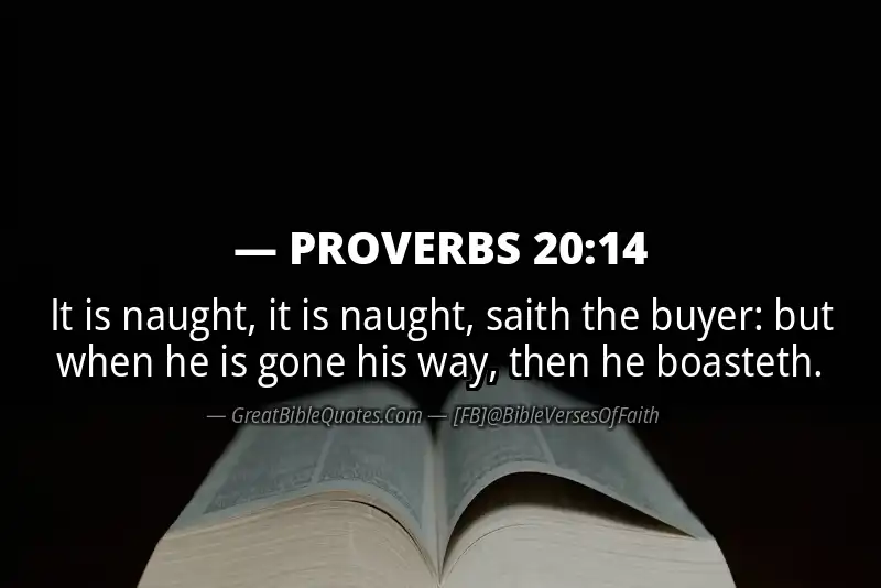 PROVERBS 20:14 Verse