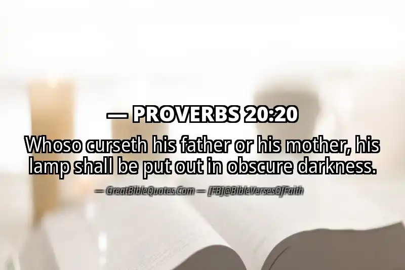 PROVERBS 20:20 Verse