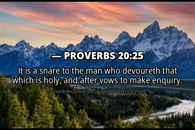 PROVERBS 20:25 Verse