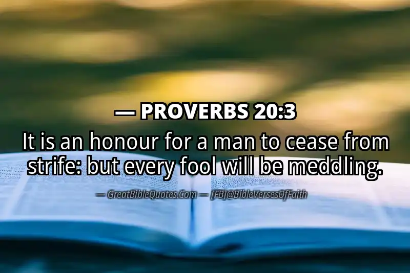 Image for PROVERBS 20:3 Bible verse