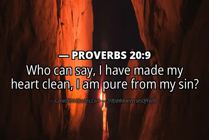 PROVERBS 20:9 Verse
