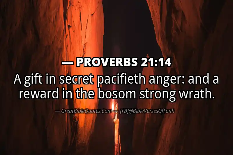 PROVERBS 21:14 Verse Image