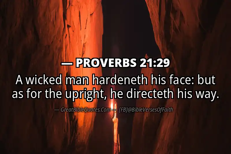 PROVERBS 21:29 Verse