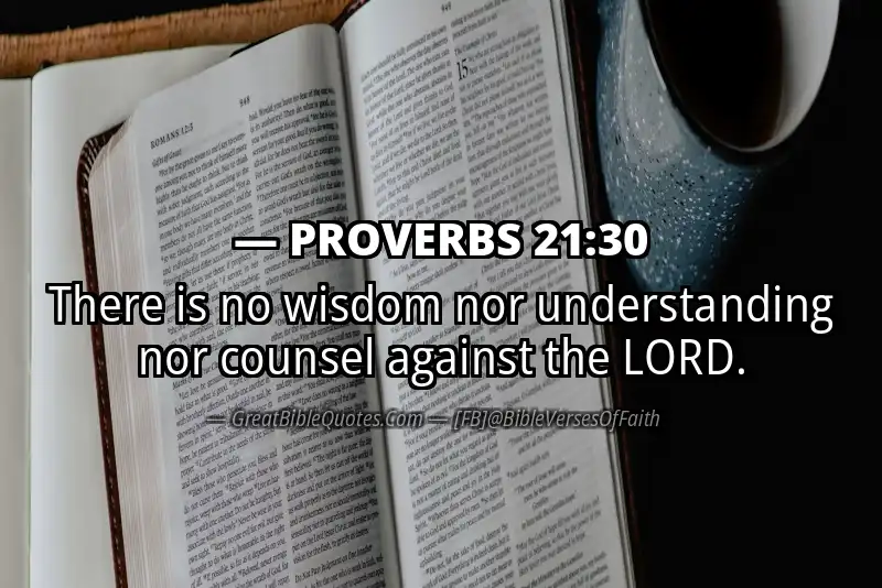 PROVERBS 21:30 Verse