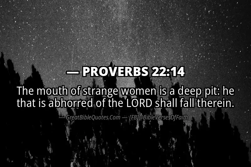 PROVERBS 22:14 Verse