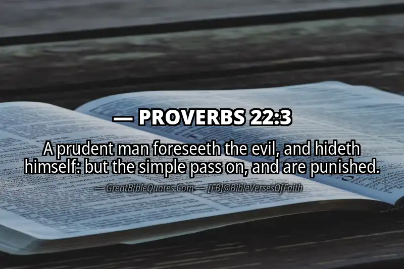 PROVERBS 22:3 Verse