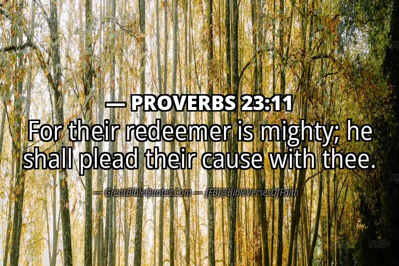 PROVERBS 23:11 Verse