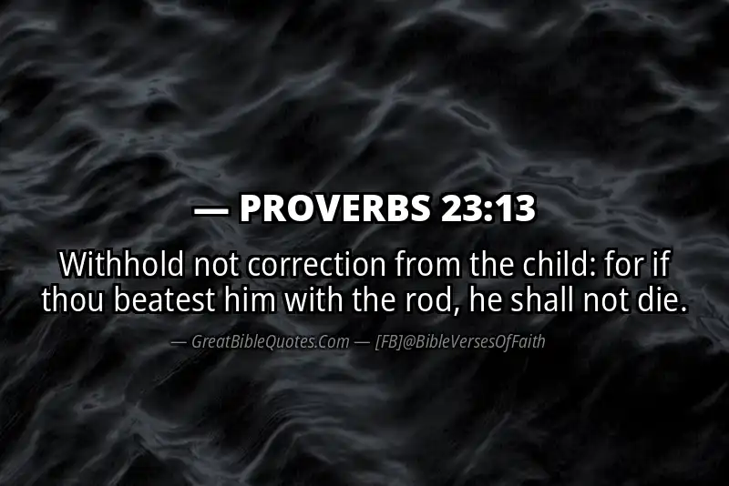 PROVERBS 23:13 Verse