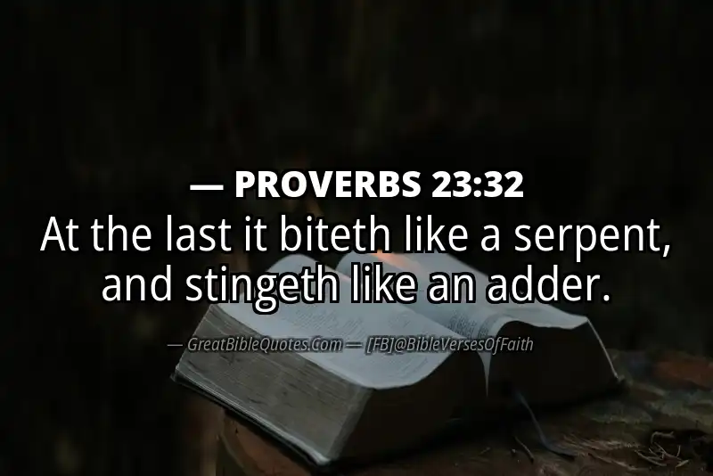 PROVERBS 23:32 Verse