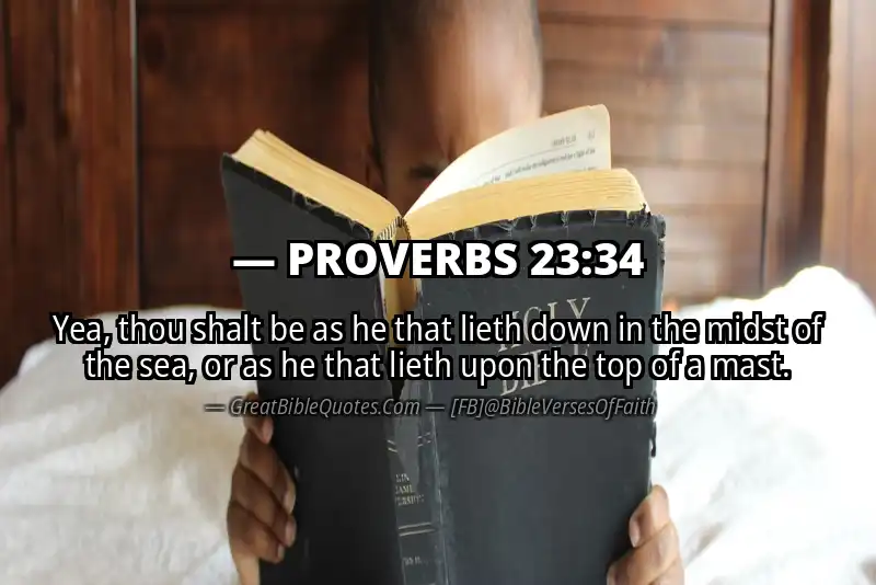 PROVERBS 23:34 Verse Image