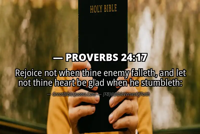 PROVERBS 24:17 Verse