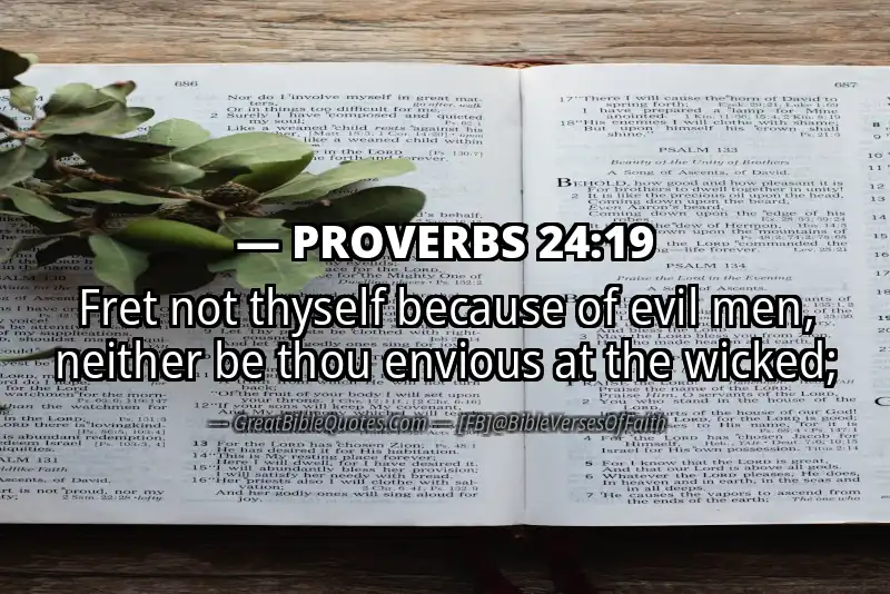 PROVERBS 24:19 Verse