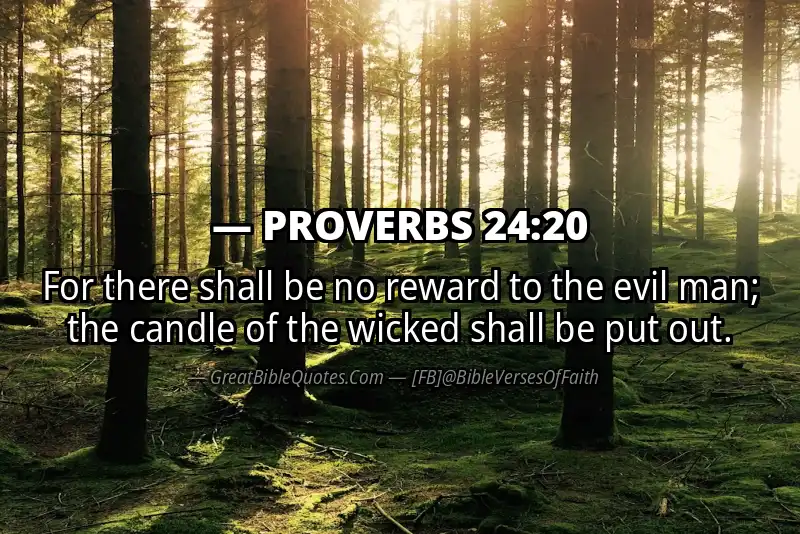 PROVERBS 24:20 Verse