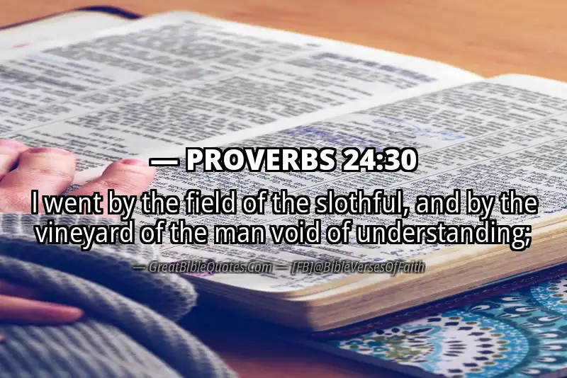 PROVERBS 24:30 Verse