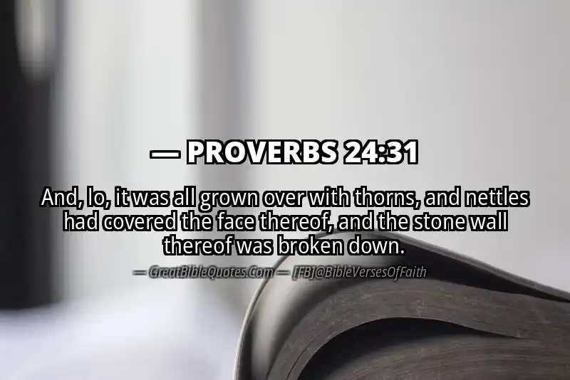 PROVERBS 24:31 Verse