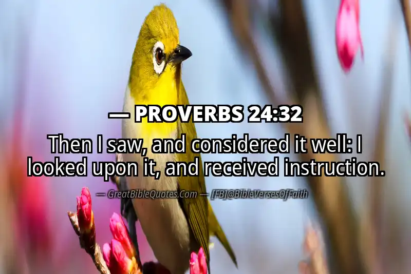 PROVERBS 24:32 Verse