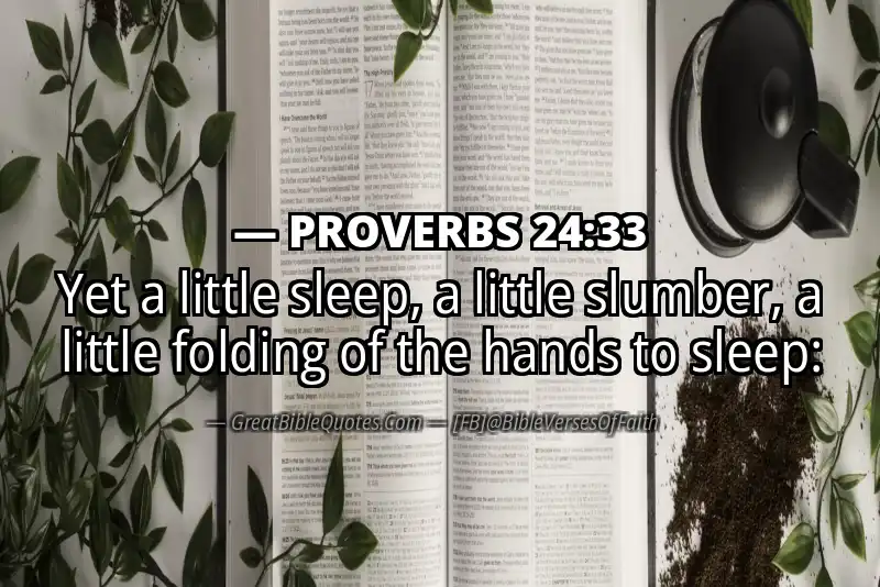 PROVERBS 24:33 Verse
