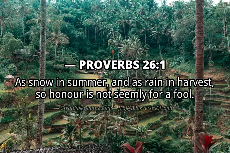 PROVERBS 26:1 Verse