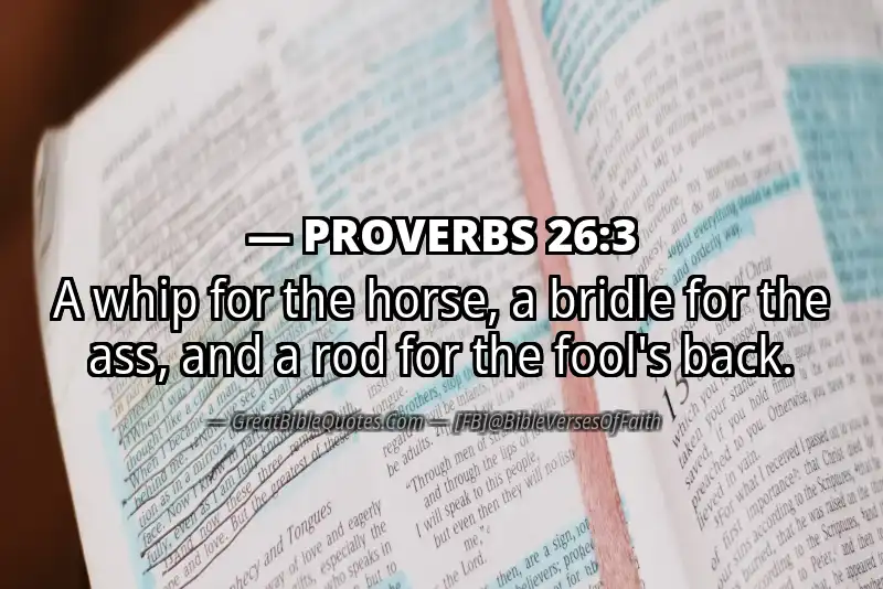 PROVERBS 26:3 Verse