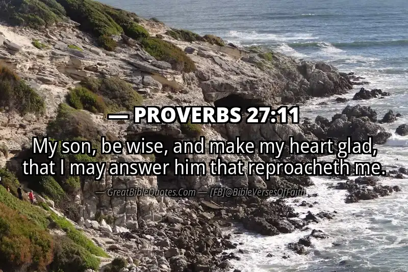 PROVERBS 27:11 Verse
