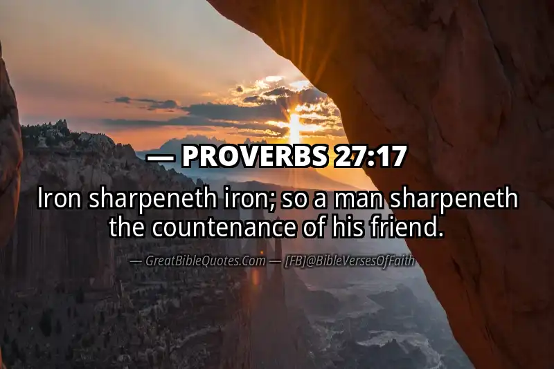 PROVERBS 27:17 Verse