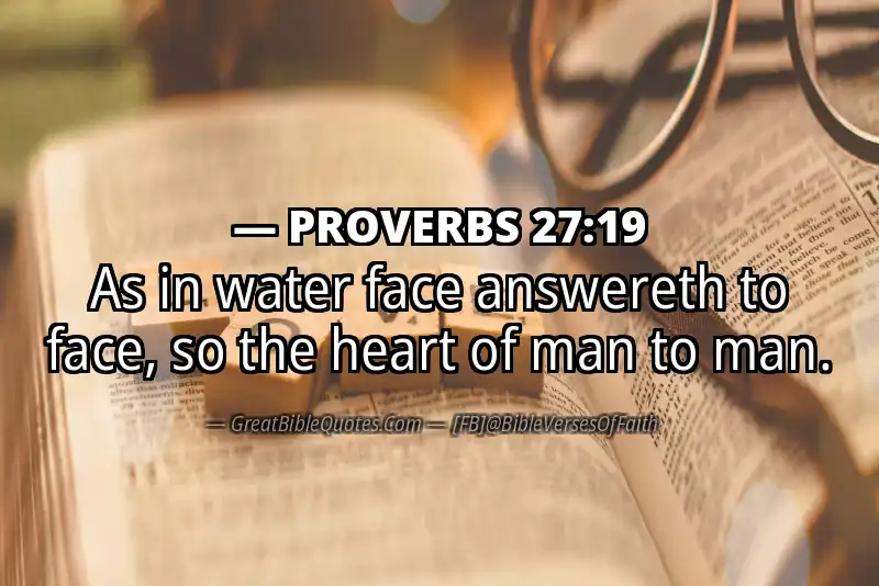 PROVERBS 27:19 Verse