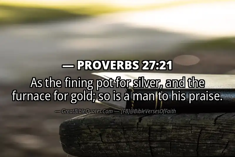 PROVERBS 27:21 Verse