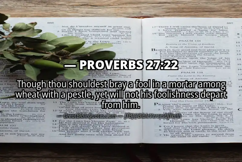 PROVERBS 27:22 Verse