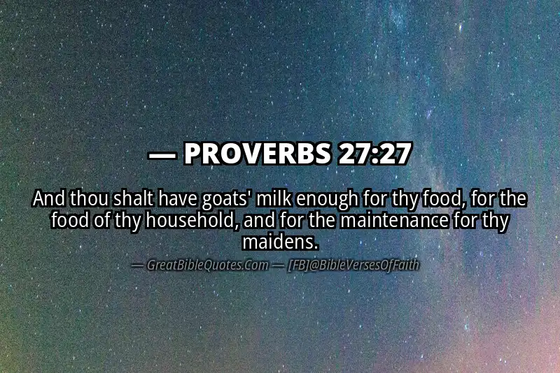 PROVERBS 27:27 Verse