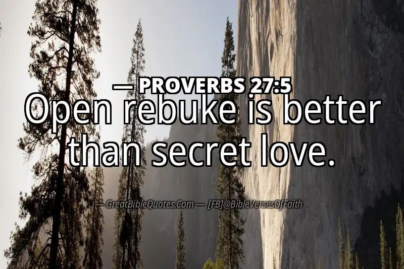 PROVERBS 27:5 Verse Image