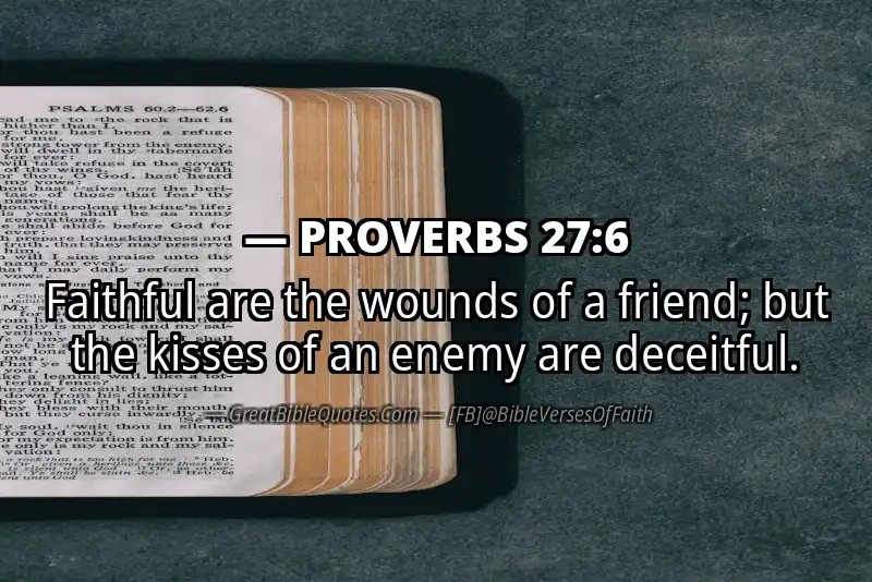 PROVERBS 27:6 Verse