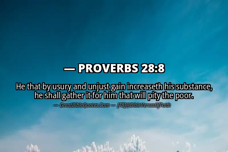 PROVERBS 28:8 Verse