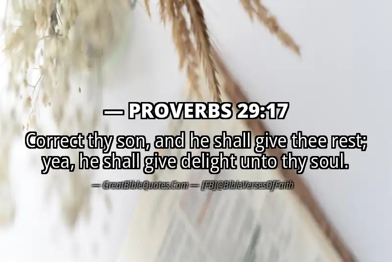 PROVERBS 29:17 Verse