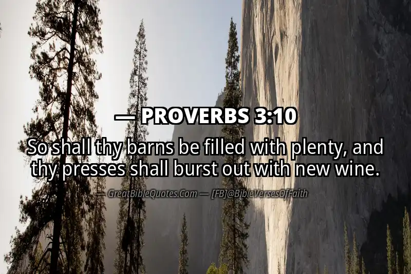 PROVERBS 3:10 Verse Image