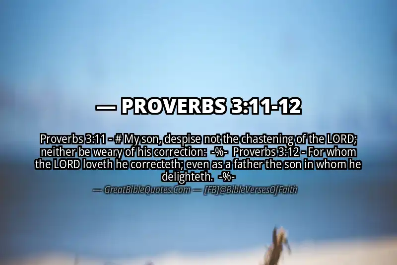 Image for PROVERBS 3:11-12 Bible verse